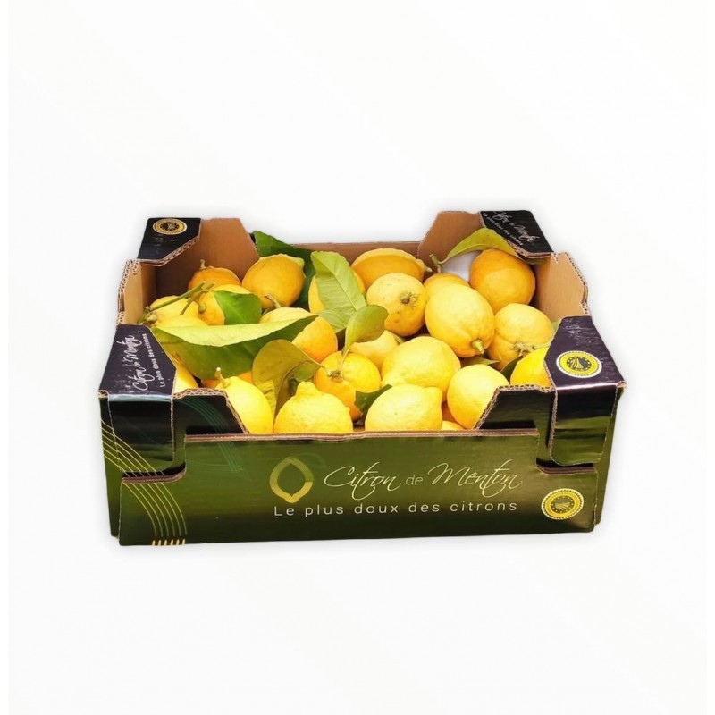 Vente Citrons De Menton Frais Igp Cagette De 5kg Au Pays Du Citron